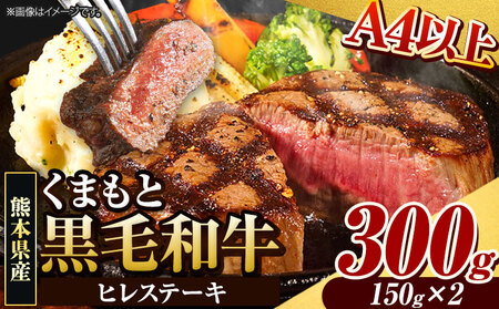 くまもと黒毛和牛 ヒレステーキ 300g (150g×2枚) 牛肉 冷凍 《90日以内に出荷予定(土日祝除く)》 くまもと黒毛和牛 黒毛和牛 冷凍庫 個別 取分け 小分け 個包装 ステーキ肉 にも ヒレステーキ｜ブランド牛肉 特産品牛肉 熊本県牛肉 大人気返礼品 人気牛肉 名産品牛肉