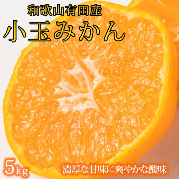 【ふるさと納税】 有田の小粒みかん5kg　(S〜3Sサイズ混合) ※2026年11月下旬頃～2027年1月下旬頃に順次発送予定(お届け日指定不可) / みかん ミカン 蜜柑 温州みかん 柑橘 フルーツ 果物 くだもの 和歌山【uot845】