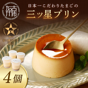 【五つ星ひょうご認定】日本一こだわりたまごの三ツ星プリン(125g×4個)【2400H12606】