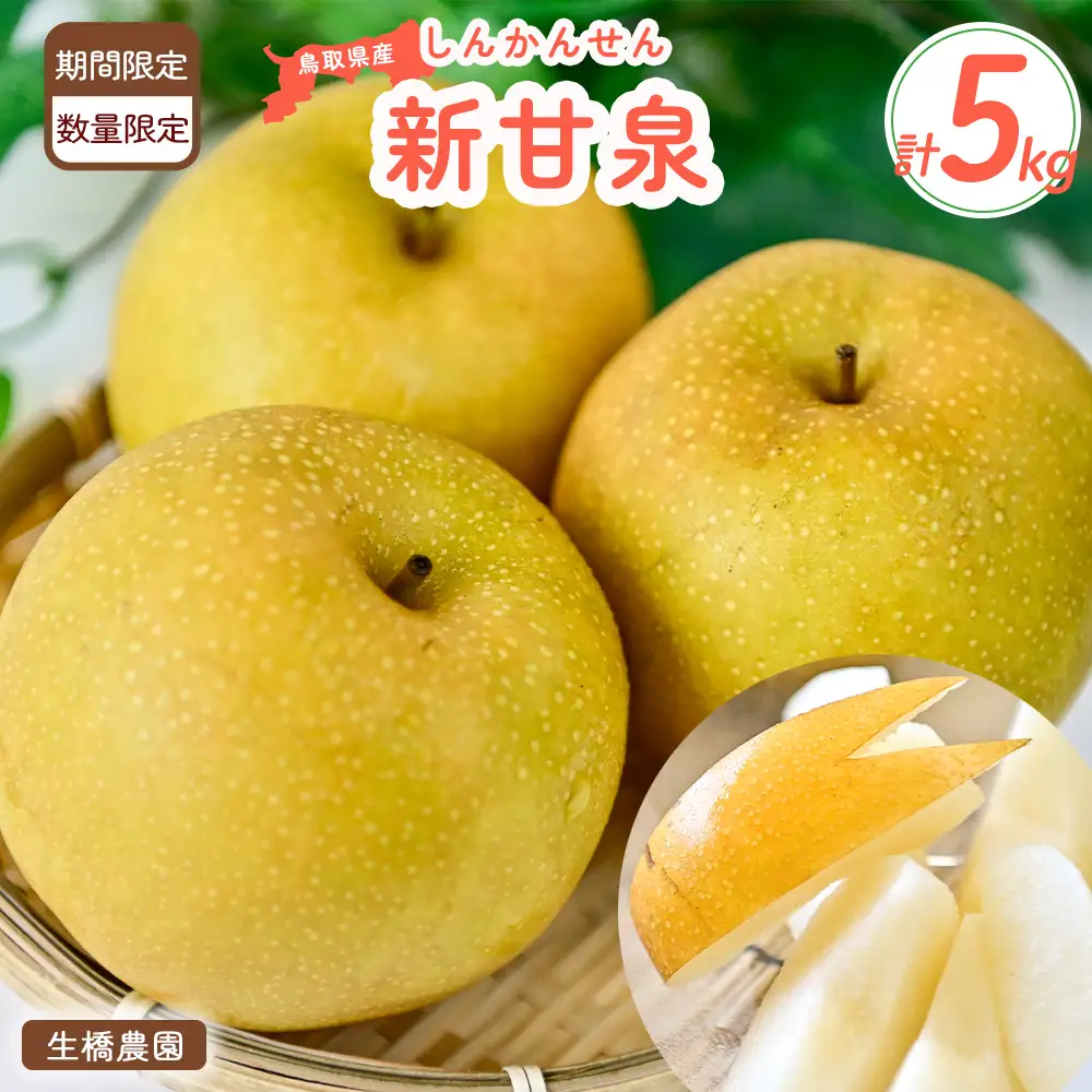 鳥取県だけで作られている 幻の梨 新甘泉【鳥取県産】５kg(生橋農園) 梨 果物 フルーツ