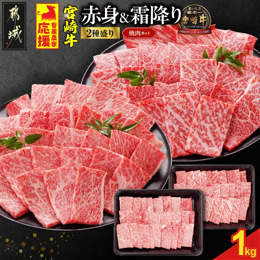 畜産農家応援! 宮崎牛焼肉2種セット500g×2パック_19-N2-002-1000_(都城市) 宮崎牛 肩ロース又はロース ウデ モモ 焼肉 500g