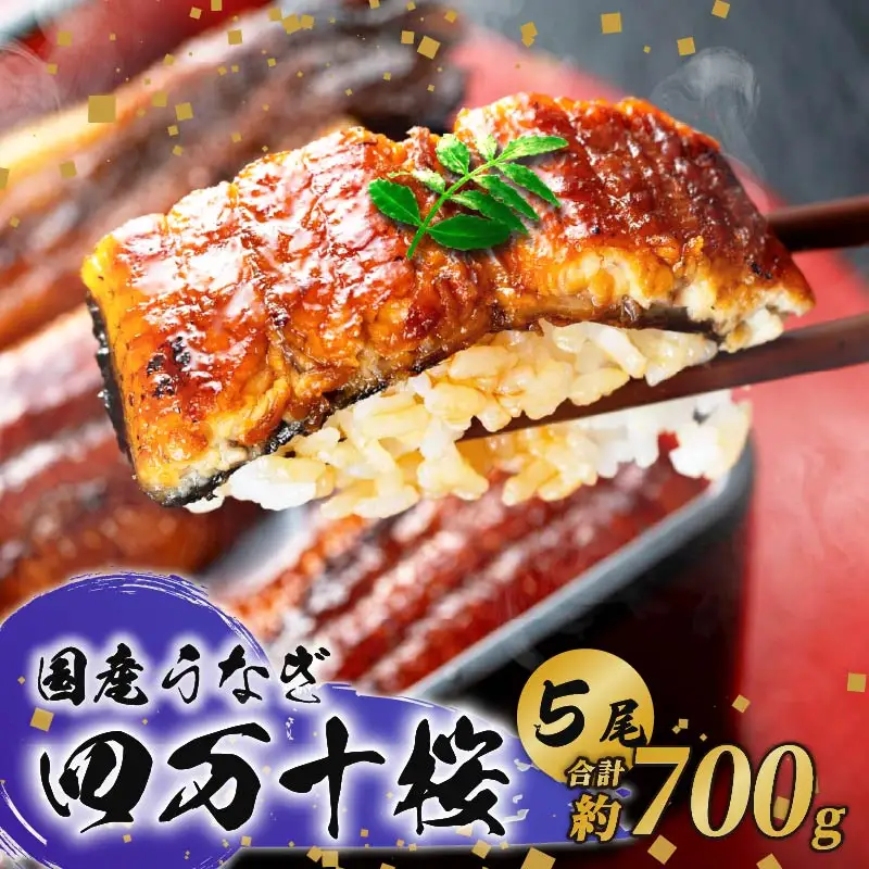 【通常用】極上国産うなぎ四万十桜 蒲焼き約140g×5尾 完全無投薬蒲焼き