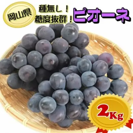 【2026年発送】糖度抜群ぶどう【秀品】岡山産!種なしピオーネ2kg以上(3～4房)　ギフトにも【配送不可地域：離島】【1612201】