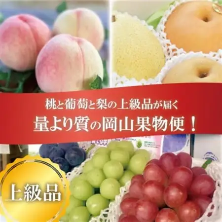 【発送月固定定期便】量より質! 桃と葡萄と梨の上級品が届く、果樹園の人気定期便!(岡山県産)全3回【配送不可地域：離島・北海道・沖縄県】【4066247】