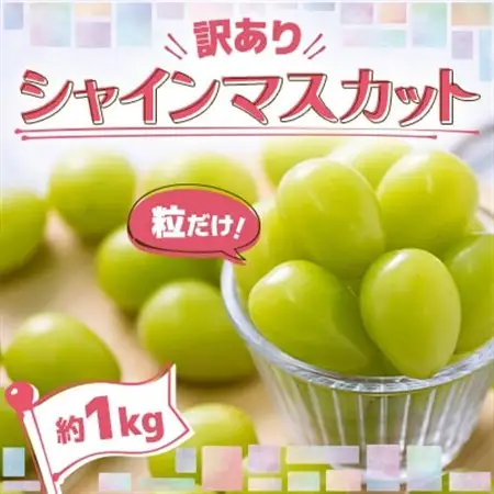 【先行予約】美味しさは「寒暖差」にあり 粒だけ!青森市産【訳あり】シャインマスカット(約1kg)_果物・フルーツ ぶどう・マスカット  ブドウ 葡萄 _【配送不可地域：離島】【1613276】