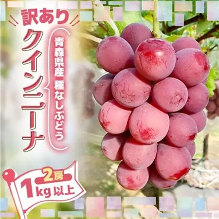 2026年発送【訳あり】種なしぶどう 青森県産クインニーナ 2房(1.0kg～1.2kg)_果物・フルーツ ぶどう・マスカット  ブドウ 葡萄 _【配送不可地域：離島】【1613277】