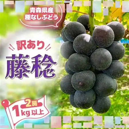 2026年発送【訳あり】種なしぶどう　青森県産　藤稔2房(1.0kg～1.2kg)_果物・フルーツ ぶどう・マスカット  ブドウ 葡萄 _【配送不可地域：離島】【1613278】