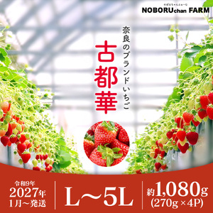 【先行予約】いちご 古都華いちご 4P idm002【2027年1～4月発送】