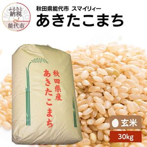 令和7年産 あきたこまち 玄米 30kg 秋田県産 お米 米 ごはん ご飯 単一原料米