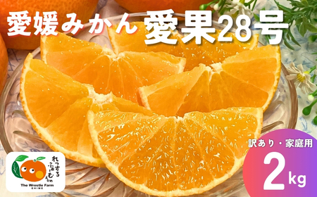 【2026年先行予約】みかん 愛媛県 愛果28号 2kg ご家庭用 訳あり レッスルファーム 紅まどんなと同一品種【2026年11月中旬下旬から順次発送予定】数量限定 おすすめ 美味しい おいしい グルメ フルーツ くだもの 愛媛県産 人気 柑橘 伊予市｜A104