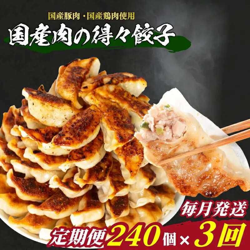 訳あり 国産肉の得々餃子 240個 定期便 毎月3回 餃子 ギョウザ IB