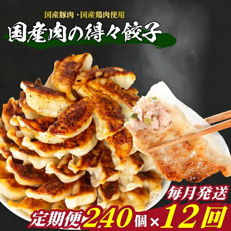 訳あり 国産肉の得々餃子 240個 定期便 毎月12回 餃子 ギョウザ IB