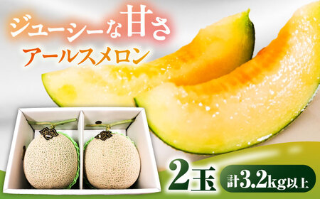 【2026年7月下旬-発送】アールスメロン 2玉 約3.2kg / メロン めろん 果物 フルーツ / 南島原市 / うえだメロン園[SAD011]