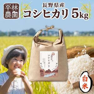 令和7年産 コシヒカリ 白米 5kg×1袋 長野県産 米 精米 お米 ごはん ライス 甘み 農家直送 産直 信州 人気 ギフト お取り寄せ 平林農園 送料無料 長野県 大町市