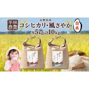 令和7年産 コシヒカリ 風さやか 白米 各5kg 長野県産 米 精米 お米 ごはん ライス 甘み 農家直送 産直 信州 人気 ギフト お取り寄せ 平林農園 送料無料 長野県 大町市