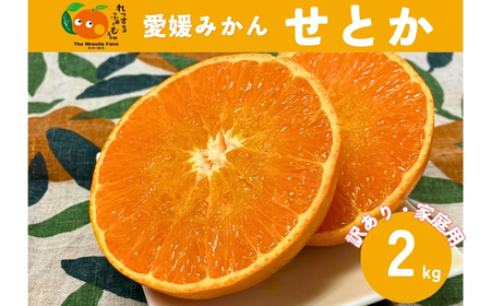 【2027年先行予約】みかん 愛媛県 せとか 2kg ご家庭用 訳あり レッスルファーム 【2027年1月下旬より順次発送】 数量限定 おすすめ 美味しい おいしい グルメ フルーツ くだもの 愛媛県産 人気 柑橘 伊予市｜A105