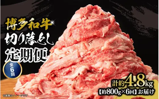 博多和牛 切り落とし 定期便全6回 計約4.8kg 肉 お肉 博多和牛 和牛 牛肉 バラ カタ モモ ウデ 赤身 切り落とし 国産 約800g 冷凍 冷凍配送 使い切りサイズ 柔らかい ジューシー すき焼き 牛丼 肉じゃが 定期便 全6回 福岡県 八女市 072-T102
