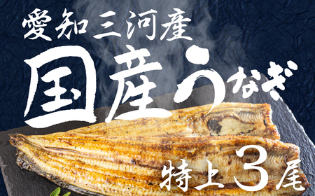 愛知県三河産 うなぎ 白焼き 3尾 うなぎ