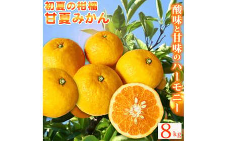 紀州 有田産 すっきり爽やか 甘夏 みかん 8kg 【ご家庭用訳あり】 / 温州みかん 柑橘 フルーツ 果物 和歌山 ※2027年3月中旬〜3月下旬頃順次発送予定 ※離島への配送不可 【uot847】