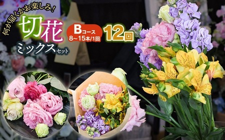 何が届くかお楽しみ★【12ヶ月定期便】鶴岡産切花ミックスセット Bコース 12回　花蔵（HANAZO）　K-756