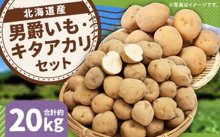 じゃがいも 男爵 キタアカリ  Lサイズ 各約10kg×1箱 計約20kg （JA） ジャガイモ 芋 いも イモ 食べ比べ 食べくらべ セット 国産 【2026年9月下旬～12月下旬迄発送予定】