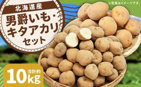 じゃがいも 男爵 キタアカリ  Lサイズ 各約5kg×1箱 計約10kg （JA） ジャガイモ 芋 いも イモ 食べ比べ 食べくらべ セット 国産 【2026年9月下旬～12月下旬迄発送予定】