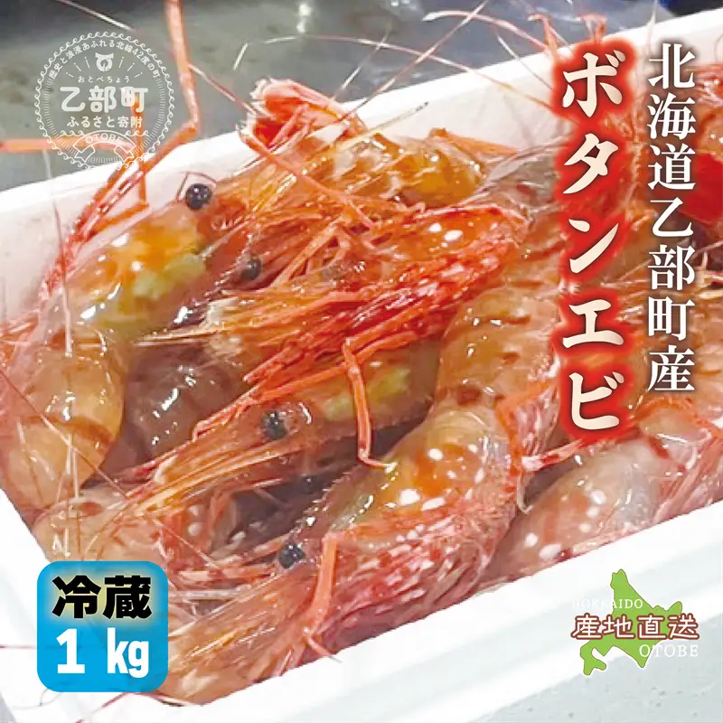 ＜ボタンエビ(冷蔵)　1kg＞甘く豊かな風味！ 北海道 道産 国産 乙部町産 牡丹海老 海老 日本海 天然 魚介類 新鮮 希少 お刺身  漁師直送 産地直送 送料無料