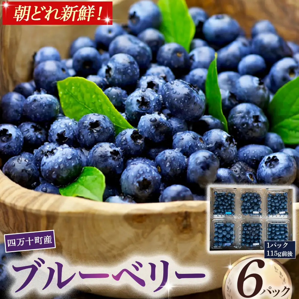 【新鮮ブルーベリー】 生果実 （115g×6パック）Cvs-A10 ブルーベリー 四万十町産朝どれ