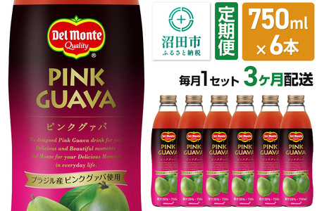 《定期便3ヶ月》デルモンテ ピンクグァバ 750ml 瓶 6本セット
