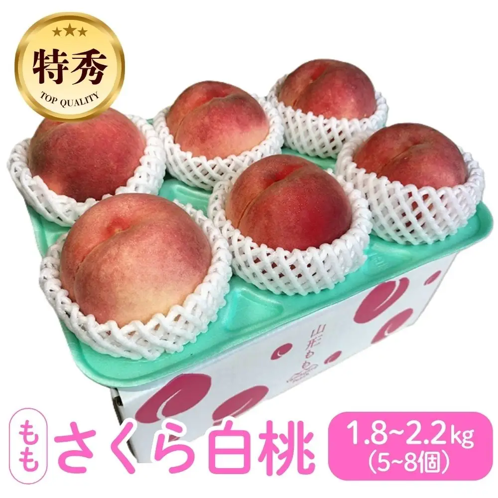 太陽の恵【特秀品】さくら白桃【２ｋｇ箱に１.８ｋｇ～２.２ｋｇ詰め】　0106-2604