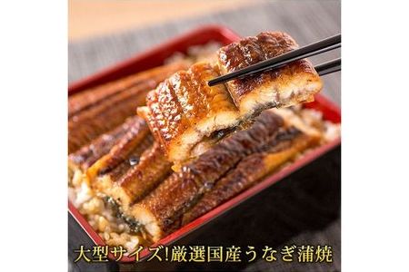 大型サイズ　 ふっくら柔らか国産うなぎ蒲焼き　約２人前　化粧箱入◆｜うなぎ うなぎ うなぎ うなぎ