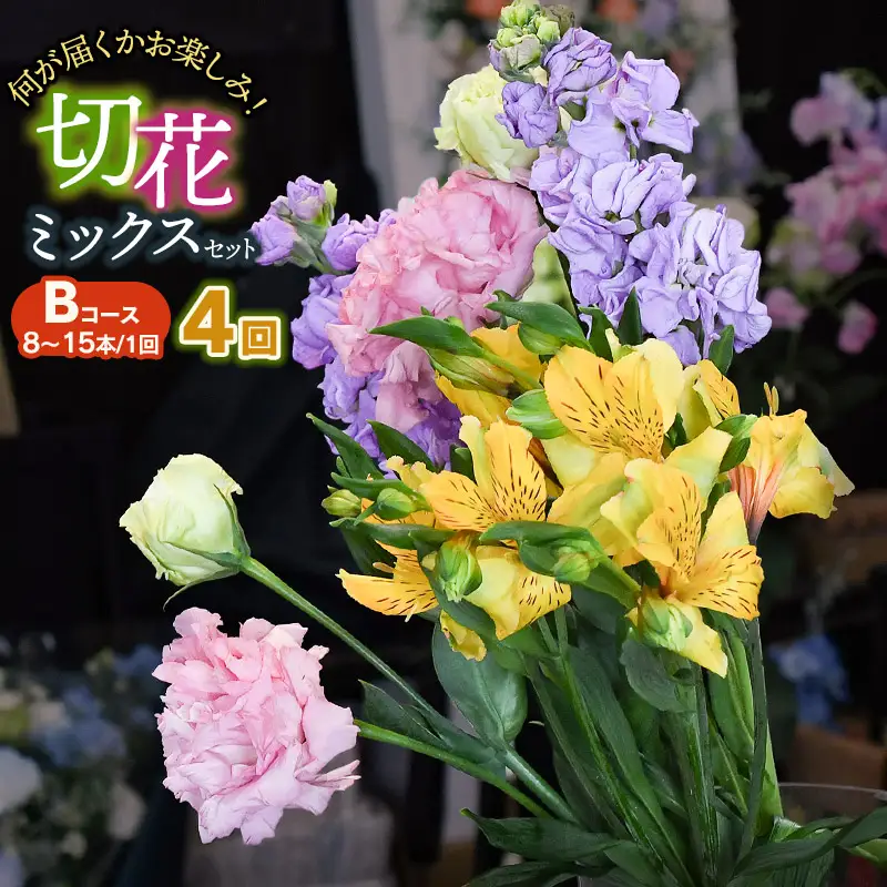 何が届くかお楽しみ★【4ヶ月定期便】鶴岡産切花ミックスセット Bコース4回　花蔵（HANAZO）　K-756