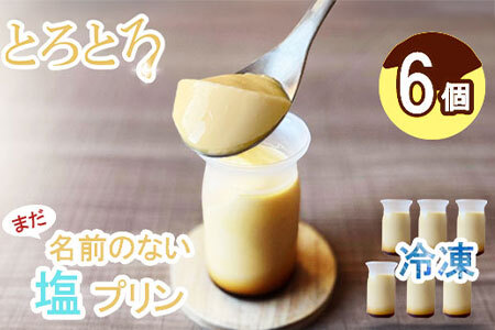 まだ名前のない塩プリン（6個入り） プリン B110-029