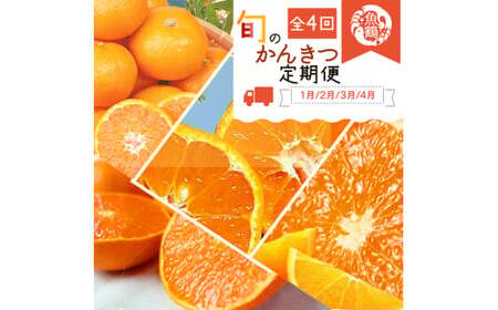 【4か月定期便】旬の柑橘定期便 / みかん ミカン 柑橘 オレンジ 果物 くだもの フルーツ定期便 和歌山 ※離島への配送不可 【uot050-4-a】