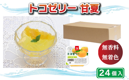 トコゼリー 甘夏 24個 甘夏 ゼリー