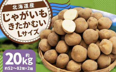 じゃがいも きたかむい Lサイズ 約10kg×2箱 計約20kg （JA） ジャガイモ 芋 いも イモ 国産 【2027年1月上旬～2月下旬迄発送予定】