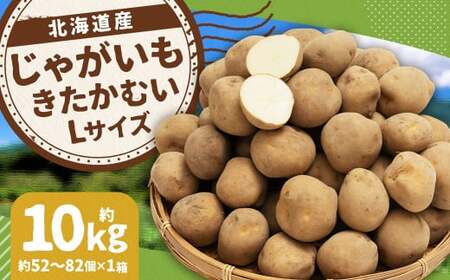 じゃがいも きたかむい Lサイズ 約10kg×1箱 計約10kg （JA） ジャガイモ 芋 いも イモ 国産 【2027年1月上旬～2月下旬迄発送予定】