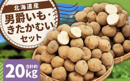 じゃがいも 男爵 きたかむい Lサイズ 各約10kg×1箱 計約20kg （JA） ジャガイモ 芋 いも イモ 食べ比べ 食べくらべ セット 国産 【2027年1月上旬～2月下旬迄発送予定】