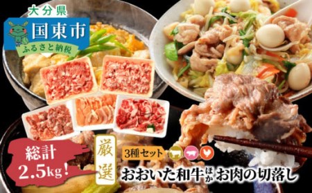 【A4～A5等級】総計2.5kg!おおいた和牛ほか厳選お肉の切落し3種セット _1476R