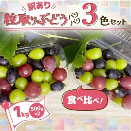 2026年発送【訳あり】粒取り ぶどう バラバラ3色セット 計1kg(500g×2パック)食べ比べ!_果物・フルーツ ぶどう・マスカット  ブドウ 葡萄 _【配送不可地域：離島】【1613279】