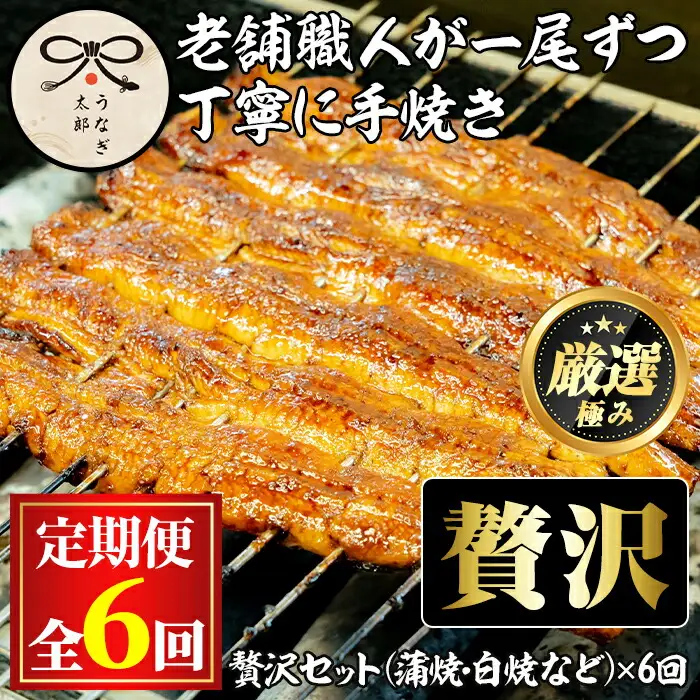 【3003712b】＜定期便・全6回(連続)＞鹿児島県産うなぎの贅沢セット(蒲焼き・白焼き・きざみ鰻など) うなぎ 高級 ウナギ 鰻 国産 たれ 鹿児島 蒲焼き 白焼き きざみ鰻 焼肝串 【うなぎ太郎】