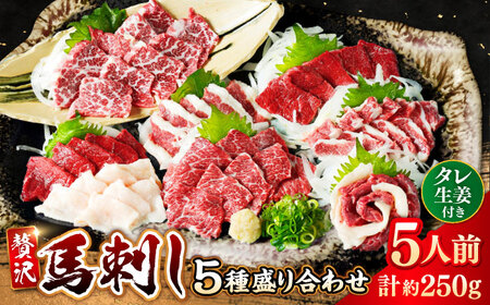 5種の馬刺し 5人前 約250g 熊本直送 馬刺し[AYAT011]