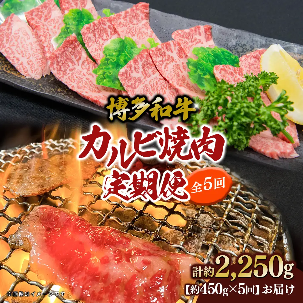 博多和牛 カルビ焼肉（バラ）定期便5回 肉 お肉 博多和牛 和牛 牛肉 カルビ バラ 国産 2～3人前 冷凍 冷凍配送 使い切りサイズ 霜降り 絶品 濃厚 柔らかい ジューシー 家族団らん カルビ丼 焼肉 バーベキュー BBQ 福岡県 八女市 072-T109