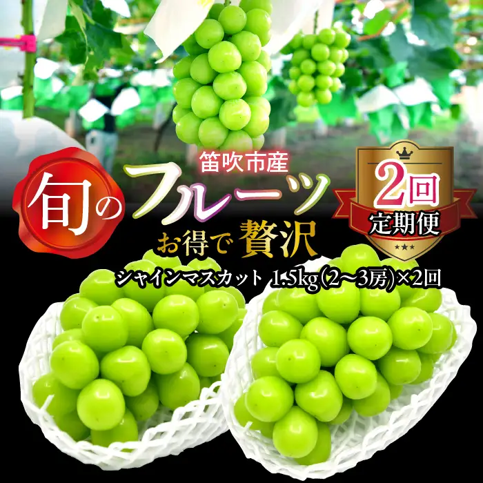 【定期便】【2026年発送★先行予約】お得で贅沢2回定期便シャインマスカット1.5kg  227-017-01-26y