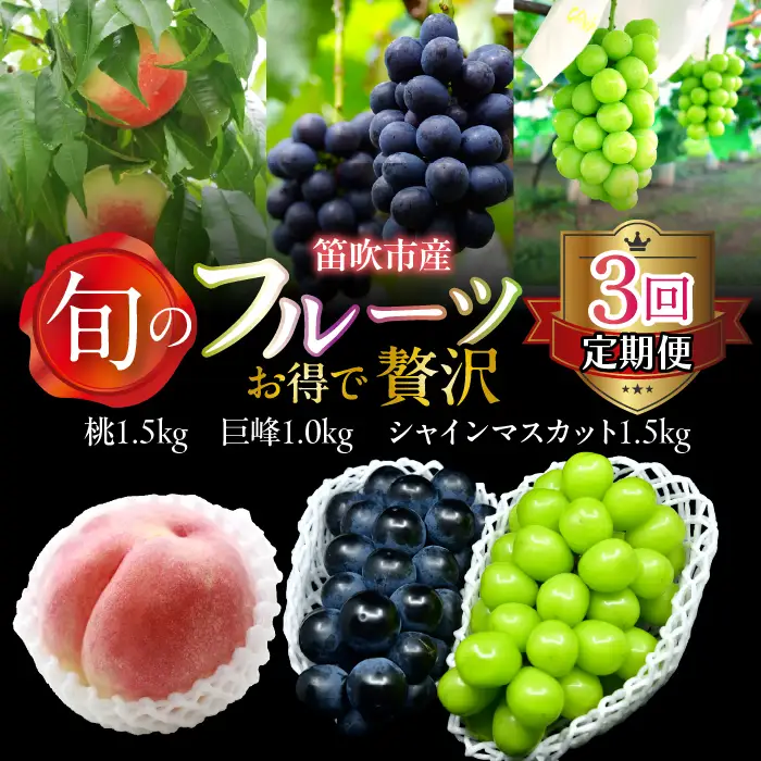 【定期便】【2026年発送★先行予約】旬のフルーツ3回定期便（桃・巨峰・シャインマスカット） 227-017-02-26y
