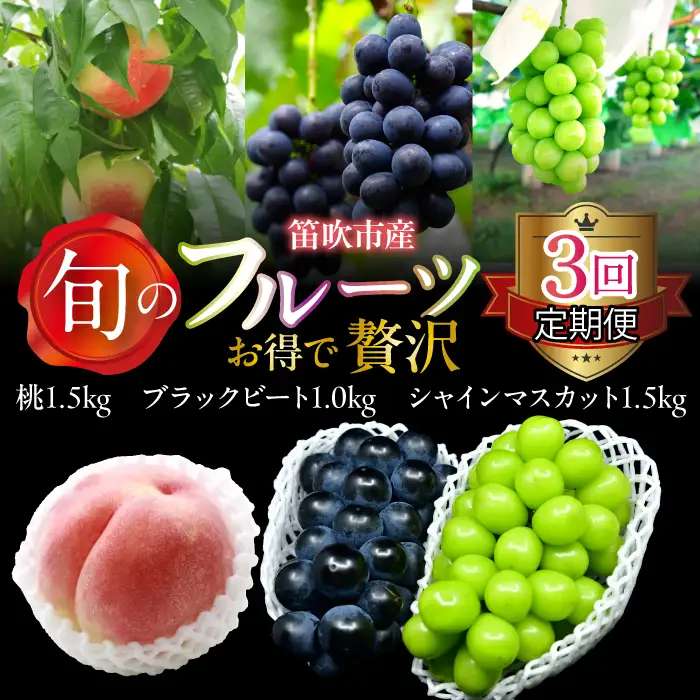 【2026年発送★先行予約】【定期便】旬のフルーツ3回定期便（桃・ブラックビート・シャインマスカット） 227-017-03-26y