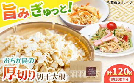 おぢか島の厚切り切干大根 30g×4袋 【小値賀町担い手公社】[DAA055]