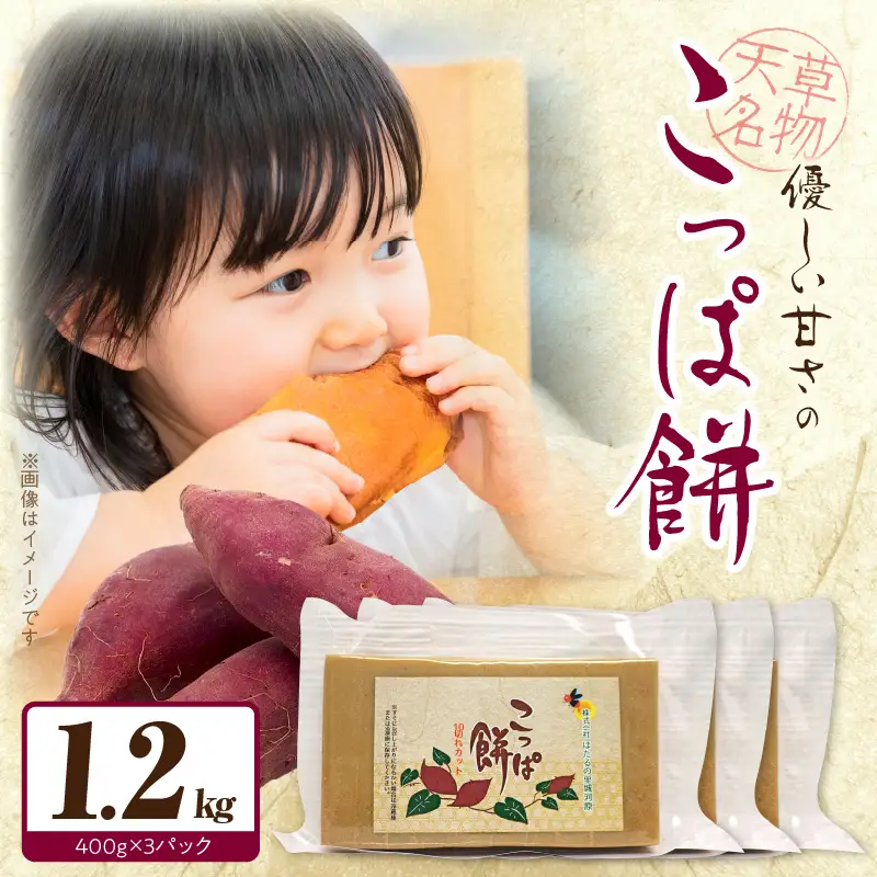 S170-002_天草名物 優しい甘さのこっぱ餅(いも餅)400g×3パック