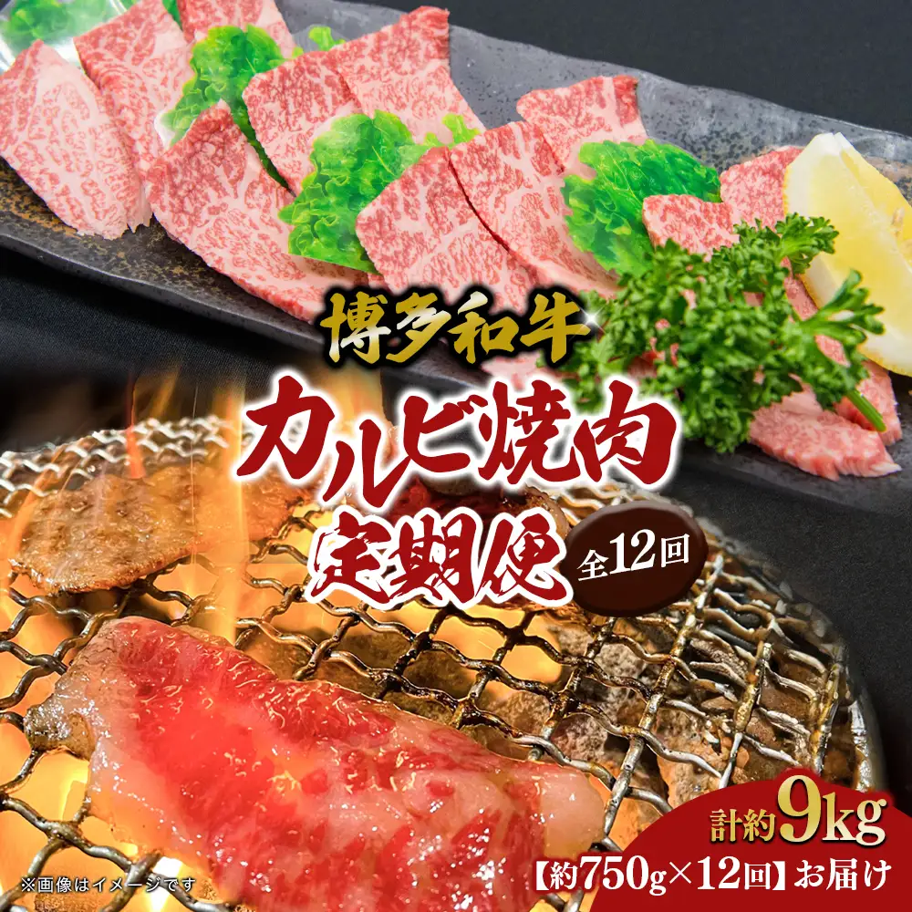 博多和牛 カルビ焼肉（バラ）定期便全12回 肉 お肉 焼肉 牛 牛肉 和牛 バーベキュー BBQ 焼肉 072-T111