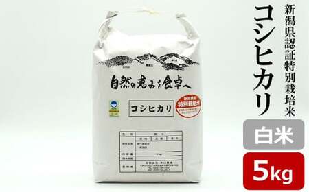 【令和7年産米】コシヒカリ 白米 5kg 新潟県認証特別栽培米[Y0487]